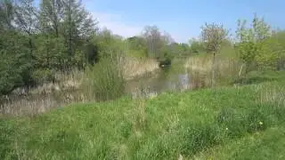114 Colonel Samuel Smith Park Waterfront Trail 26