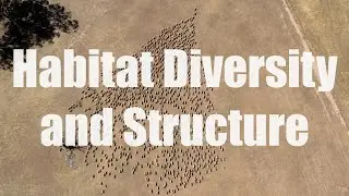 Healthy Hectares - Habitat Diversity and Structure