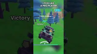 Are u pro player?