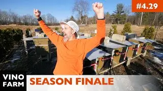 Beekeeping 2019 REWIND - Wins, Fails, Lessons, and Goals