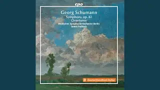 Symphony in F Minor, Op. 42: III. Allegro assai con molto passione