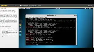 11.8.10  Use the Linux ip Command