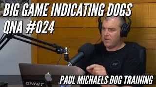 The One Thing To Never Do With Your Indicating Dog Part 2