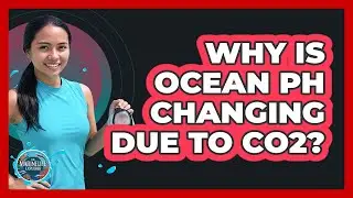 Why Is Ocean PH Changing Due To CO2?