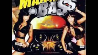 beat dominator-bass kraft