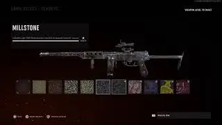 Hoggles202 vanguard zombie sesh