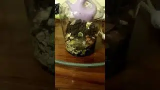 Alien Planet Experiment - The beginning