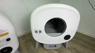 Amazon Best Budget Automatic Cat Litter Boxes 2025: CCEOO vs Fristego Full Comparison!