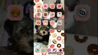 Убили паука????? Как схомячить все на столе?? Симулятор Миши