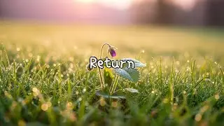 🌿RETURN &ndash; 1 Hour of Open Meditation for Stillness, Breathing & Inner Space