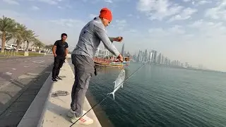 Short fishing, nag catch and release ng Queenfish #fishing #fishinglife #catchandrelease 