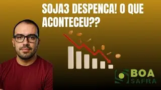 ⚠️ Resultado assustou os investidores? A verdade sobre a queda de SOJA3!