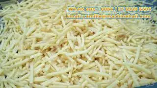 Línea de producción de papas fritas congeladas de 150 kg/h
