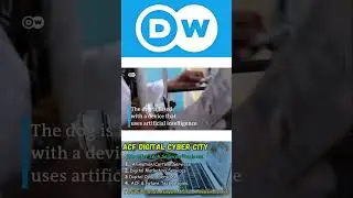 Kenyan Scientist&rsquo;s Robot Dog Shocks the World | ACF Digital Cyber City.