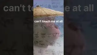chinese monkey rap with subtitles #memes #meme #music #monkey #funny #rap #subtitles @0r3ZorteR