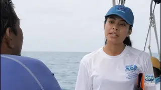 SEA BELIZE Official Video