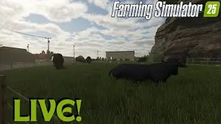 Liming  Fertilizing Planting Rolling Watering! Lots Of Work Needs Done Farming Simulator 25 FS25