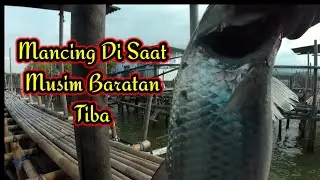 mancing ikan kerapu//mancing rucahan//mancing mania semarang