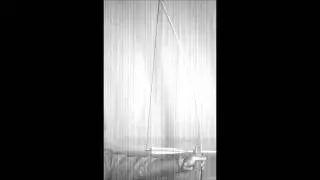 Slow motion archery, limb vibrations, 1100 grain arrow