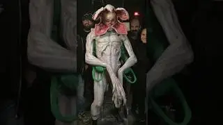 Stranger Things Lied to You &mdash; The Demogorgon Was REAL