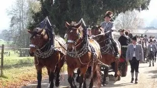 Traditional horse parade 