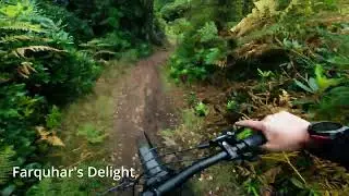 Fun MTB trails at Cambusbarron.