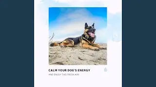 Birds and Joyful Ocean Waves