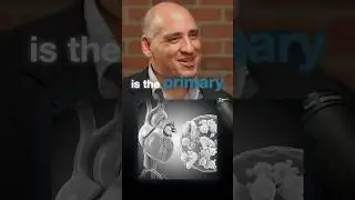 Statins & Diabetes - #cholesterol #hearthealth #statins