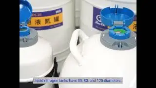 How to Store Frozen Semen Safely in Liquid Nitrogen Tanks?
