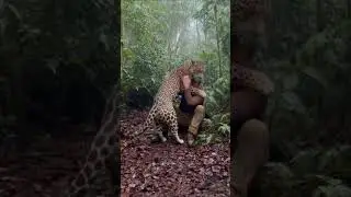 A Rare Moment of Trust Between a Human and a Jaguar