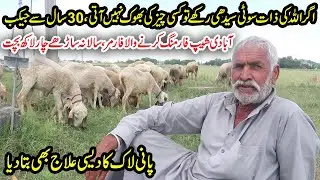 Jacobabadi Sheep Farming From 30 Years | Sheep Farming Business Tips | Water Lock Treatment