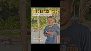 Insos saneraro 