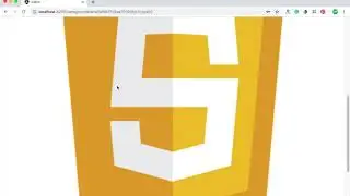 MEAN Stack (Angular 8) Tutorial: Build a Simple Blog CMS Demo + Article + Source code