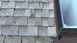 Bellevue Roofing Company Call Now (425) 533-0382