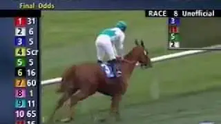 Daytona wins 2007 Hollywood Derby
