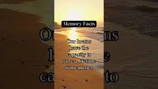 Unleash the Power of Memory Facts! 😲🧠