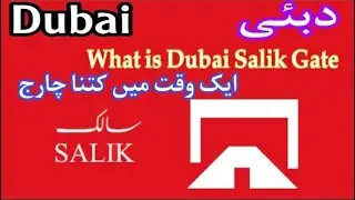 What is Salik Gate in Dubai | How many dirham charge in One time salik gate in Dubai | Muneeb Vlogs