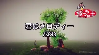 【カラオケ】君はメロディー/AKB48