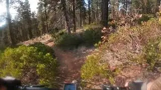 Virgin Rim Trail Navajo Lake en Utha Az 2021