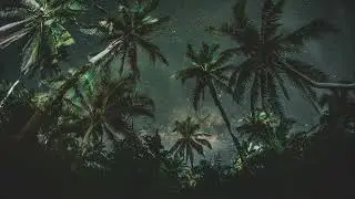 3hr Bali Night Ambience Soundscape   Sleep and Relaxation Background Nature Sounds, cicadas & Frogs