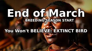 You Won't BELIEVE: EXTINCT BIRD RETURNS in Morocco!!