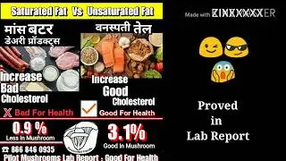 Pilot Mushroom Farm | Health Benefits