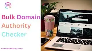 Bulk Domain Authority Checker