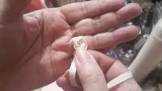 Холси из Lavish Laces