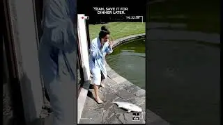 Fish Jumps Out of Pond&mdash;What She Did Next Shocked Me! #shorts #cctv