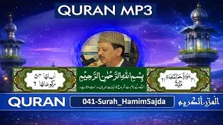 Surah HamimSajda | Recitation  Qari Waheed Zafar Qasmi | Urdu Translation |  Quran MP3