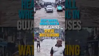 Gujarat: Severe Waterlogging in Malpur; Uprooted Tree Injures Cyclist In Ahmedabad