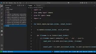 Python 3 rembg Bulk Processing Script to Remove Background of All Images in a Directory in Terminal