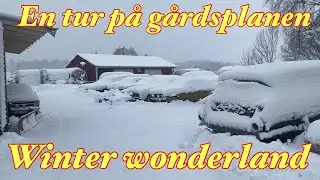 Massor med sn&ouml; blir det