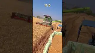 vishal 435 combine harvester #shots #ytshorts #vishal435 #combinelover #farmlife #jattlife #farming